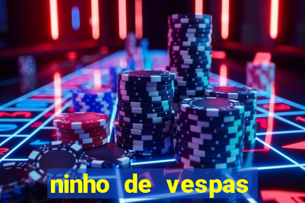 ninho de vespas significado espiritual